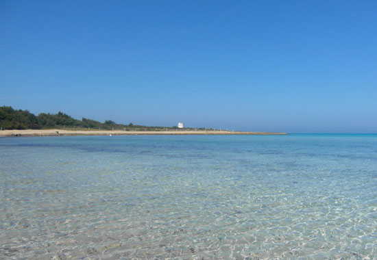 lido-pizzo