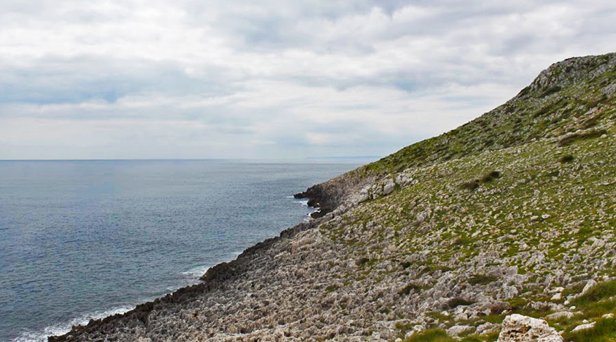 La costa in zona Punta Palascia