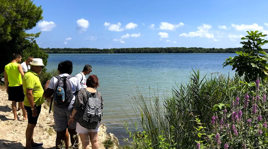 Laghi Alimini