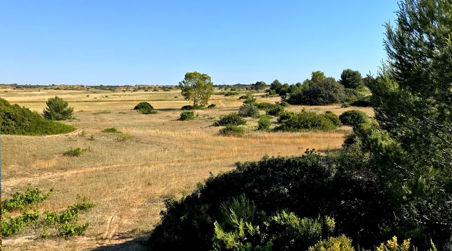 Parco Naturale di Punta Pizzo