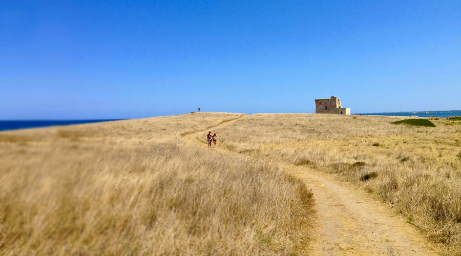 Riserva di Torre Guaceto