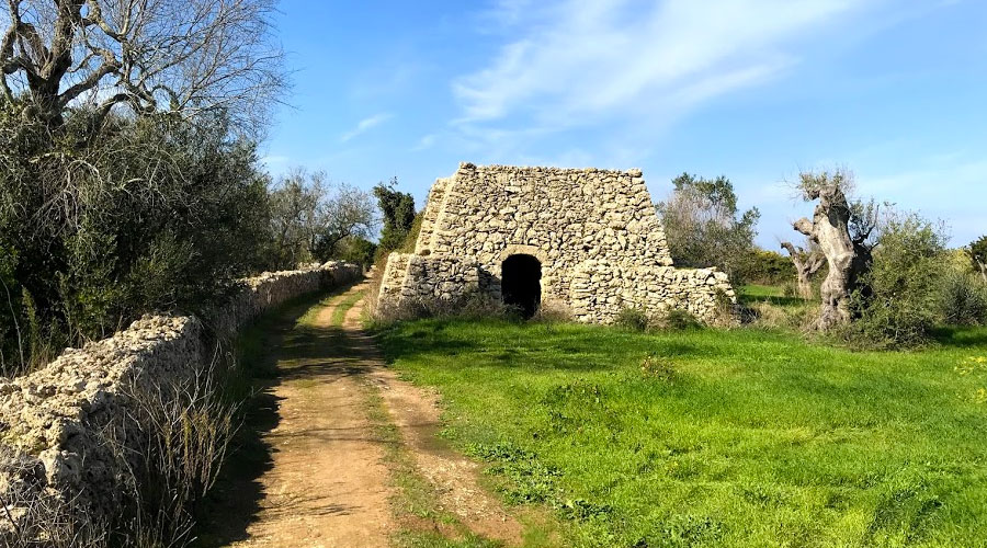 La campagna salentina ed i trulli